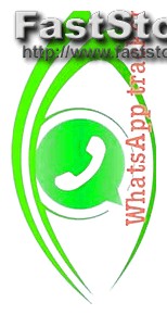 Mspy Online Promo Code